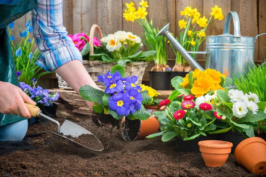 Creating Your Home Garden