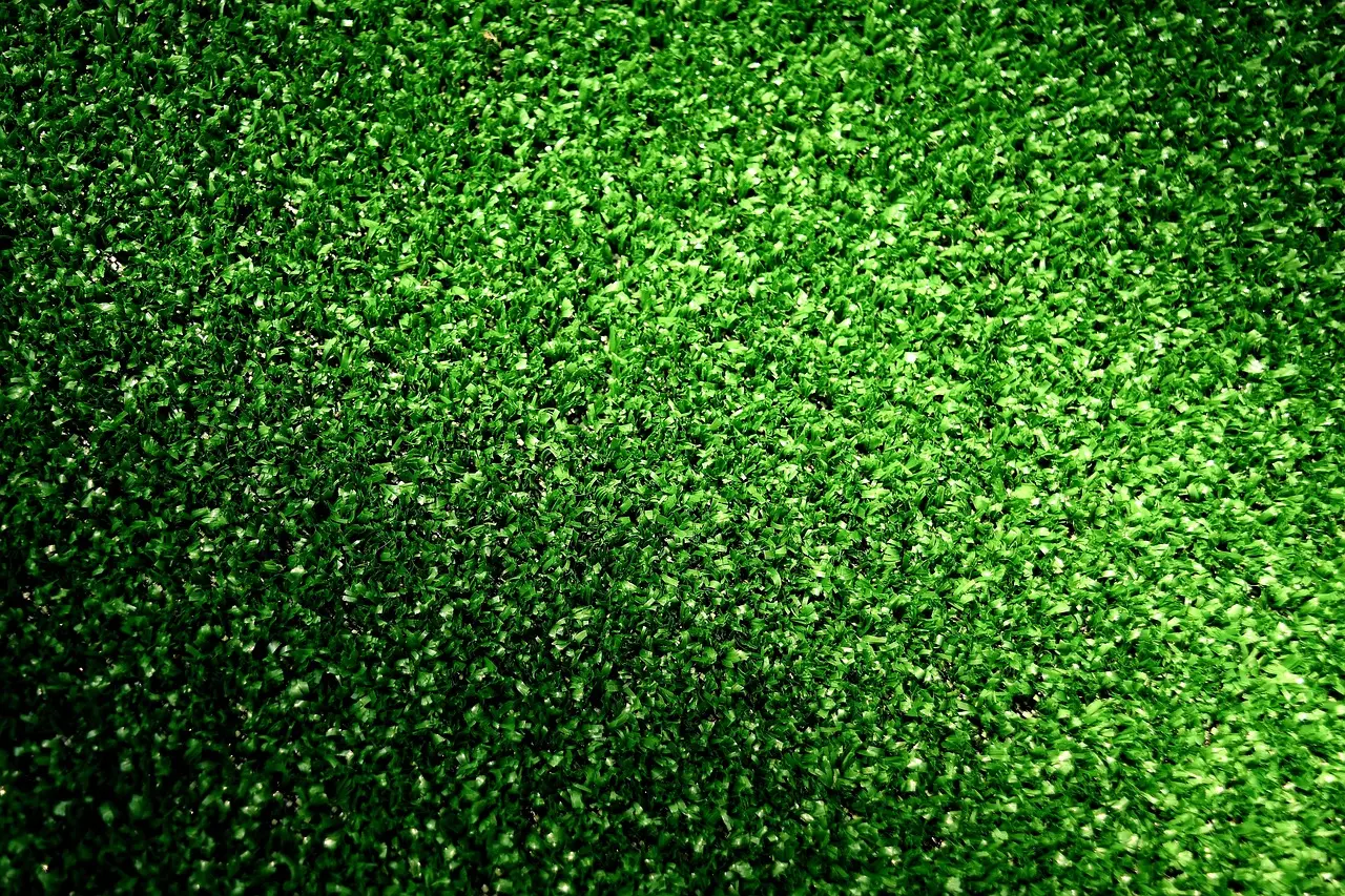 Artificial Turf for Dogs: A Practical Solution for Pet Owners