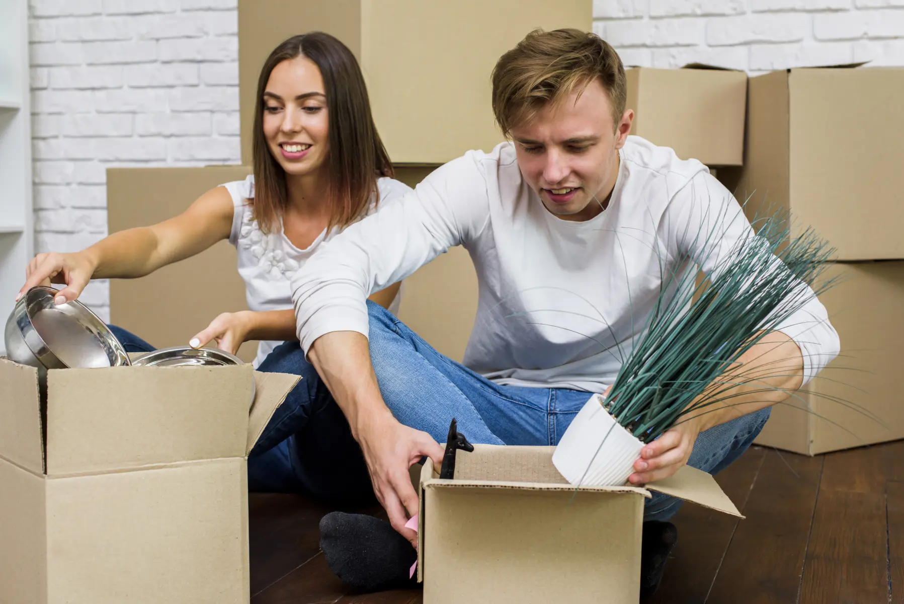 Moving Plants to a New Home: Tips for a Smooth Transition