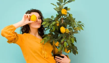 Can You Really Grow a Lemon Tree Indoors?