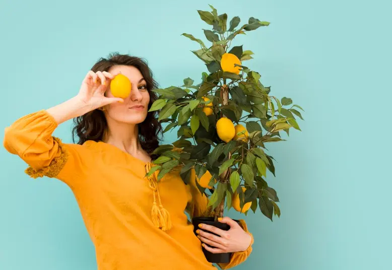 Can You Really Grow a Lemon Tree Indoors?