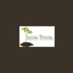 Rooted Sport Psychology Coaching