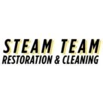 Steam Team