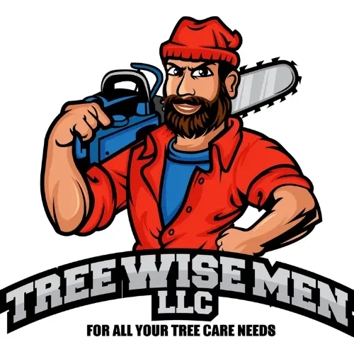 Tree Wise Men